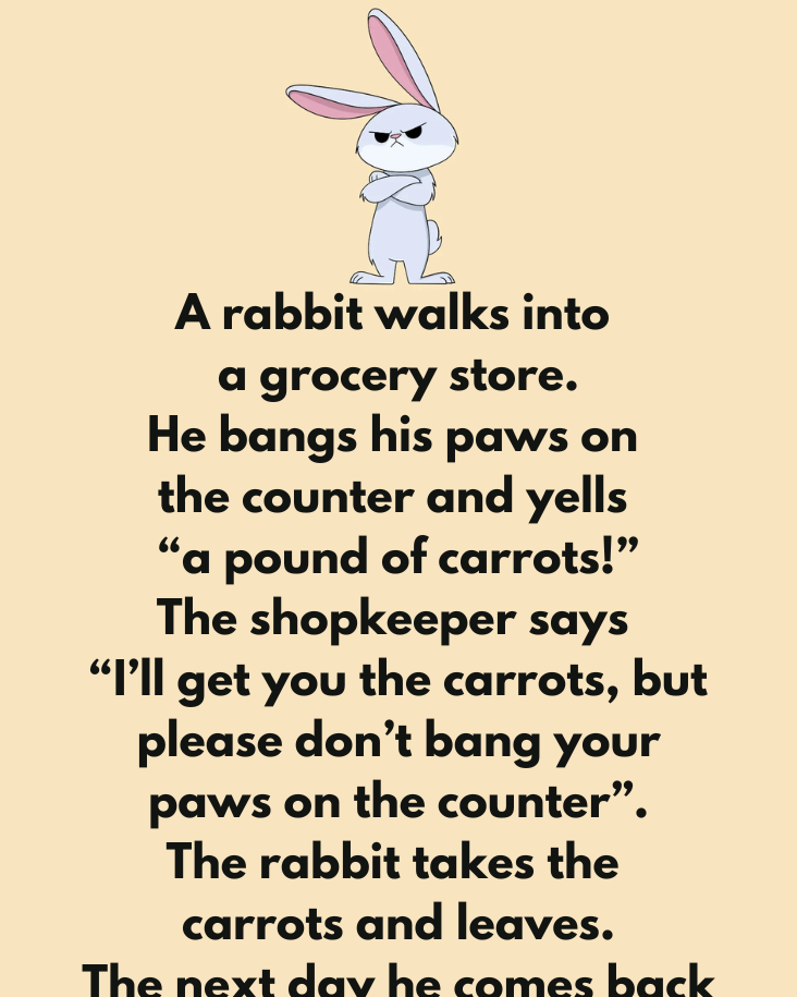 A Rabbit Walks Into A Grocery Store
