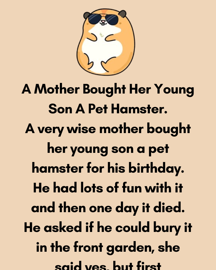 A Mother Bought Her Young Son A Pet Hamster