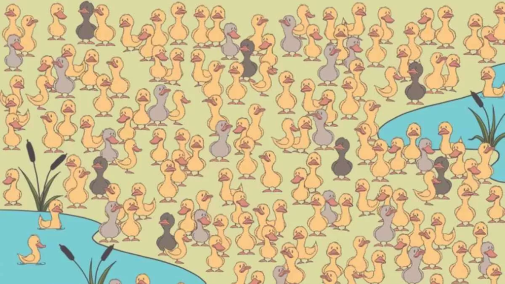 Picture Puzzle IQ Test: Are You A Genius? Spot The Hidden Chick In 12 Seconds!