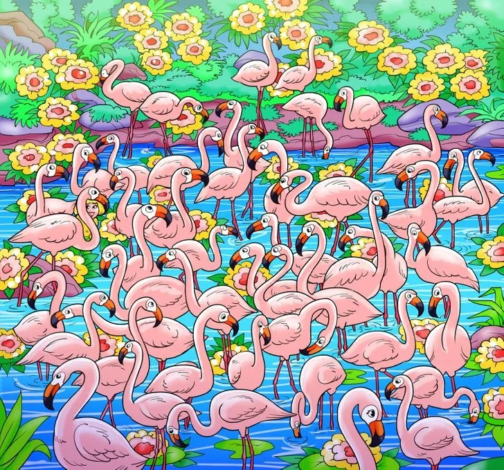 You have the high IQ of a heroic lifeguard if you spot the missing girl among the flock of flamingos in under 7 seconds…