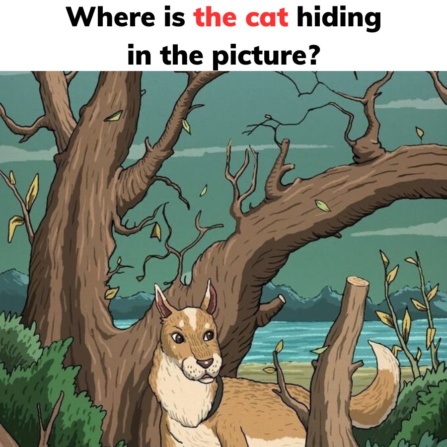 Where is the cat hiding in the picture?