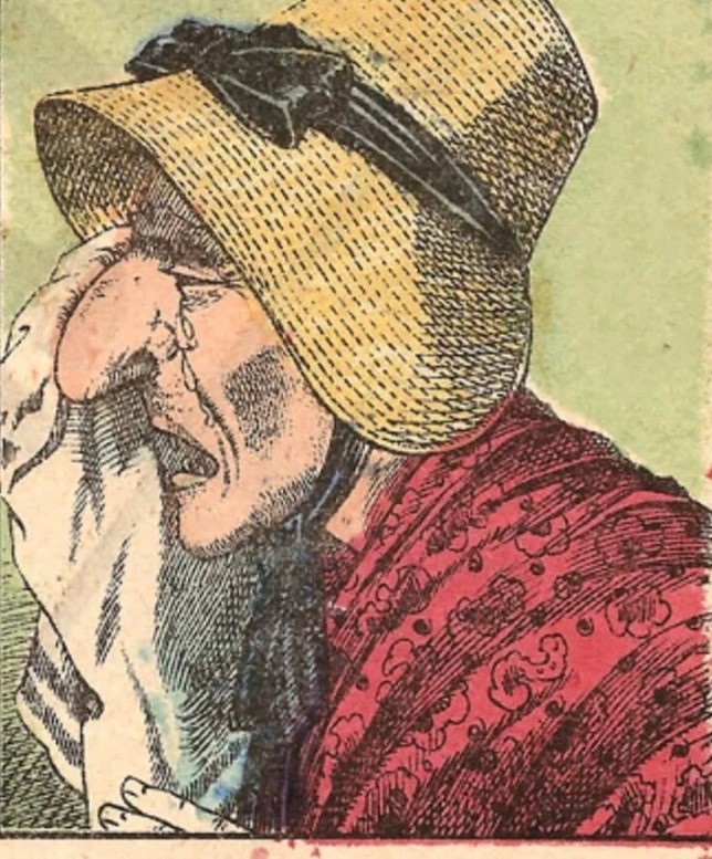 There is a dog hidden in the picture, can you see it?