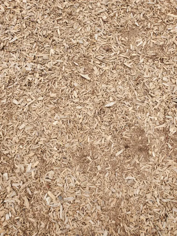 SEE if you have perfect vision and a high IQ with this frustratingly difficult brain teaser…