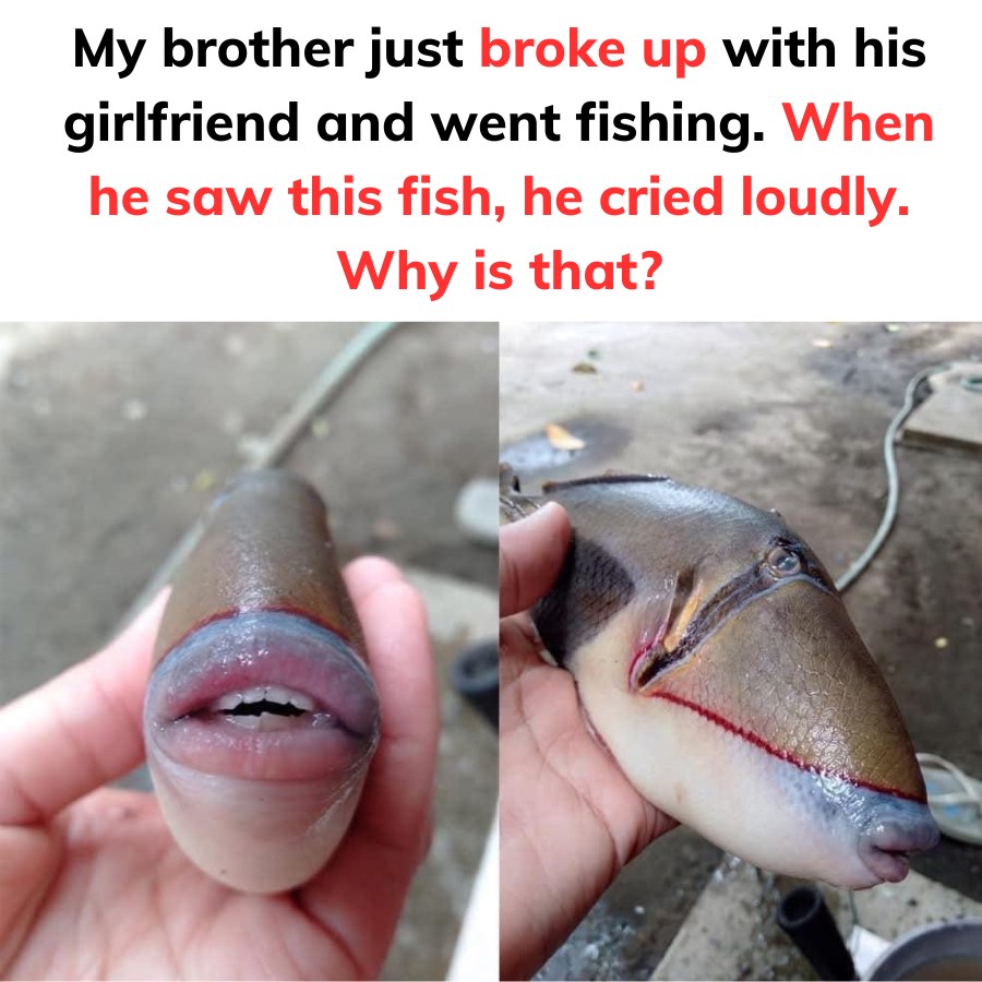 When He Saw This Fish, He Cried Loudly… Here’s Why…