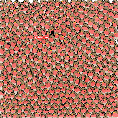 Find THREE HEARTS among the robins!