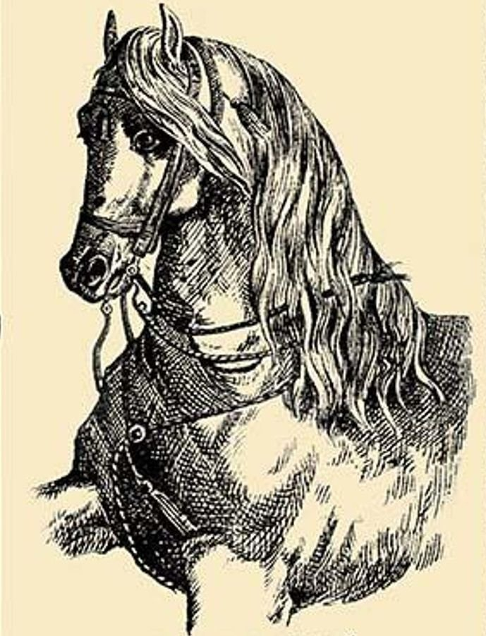 Besides the horse, there is a man in the picture. Only not everyone will see him