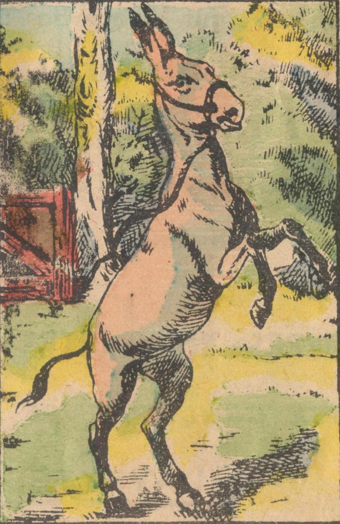 Besides the donkey, there is also his owner in the picture, but not everyone will see him.