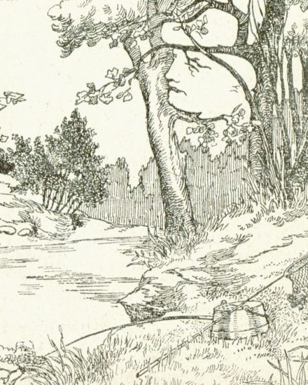 Eye test: Can you find a fisherman in the picture