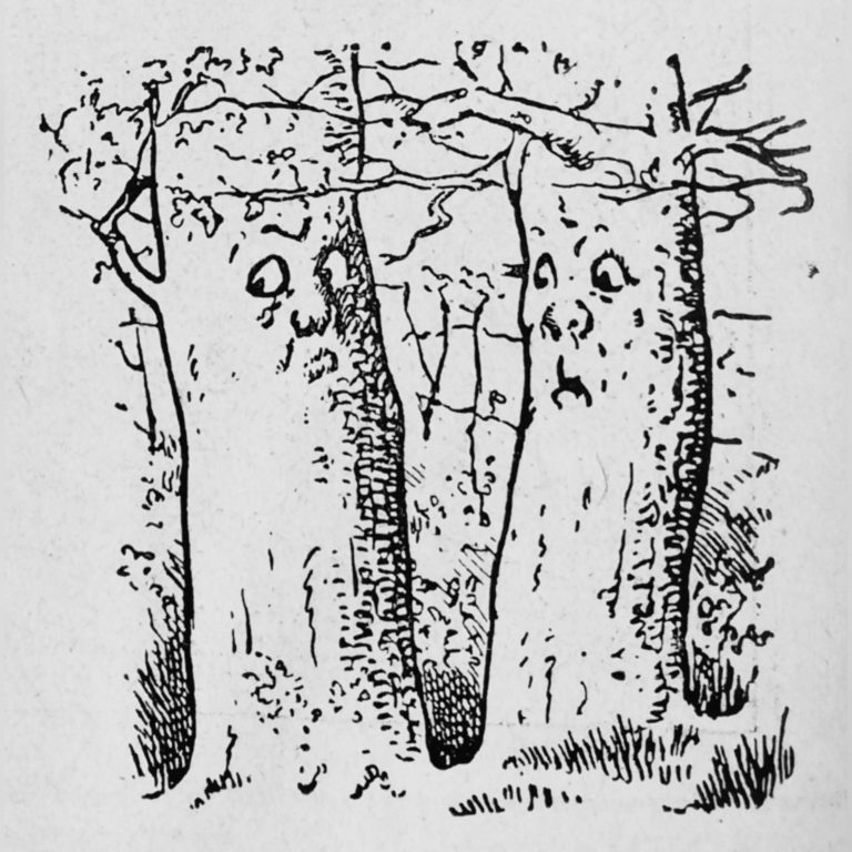 Where is the woodcutter in the picture?