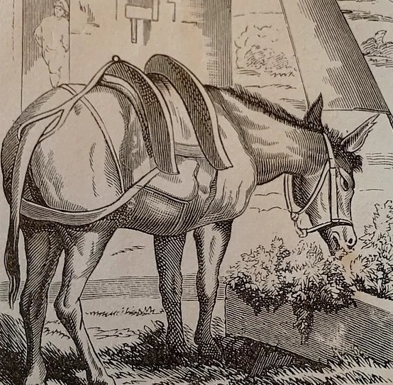 Can you find two owners of this donkey?