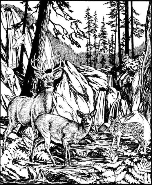 Everyone sees the deer in the picture, but not everyone see the dog