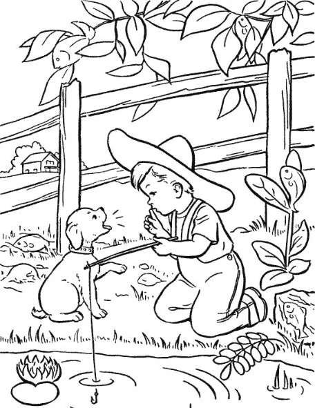 Can You See Where Five Little Fish Are Hiding?