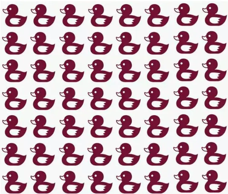 Find the Different Duckling