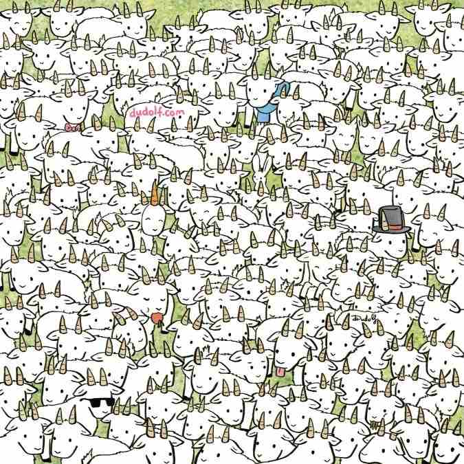 Visual challenge: find the sheep among the goats in the picture!