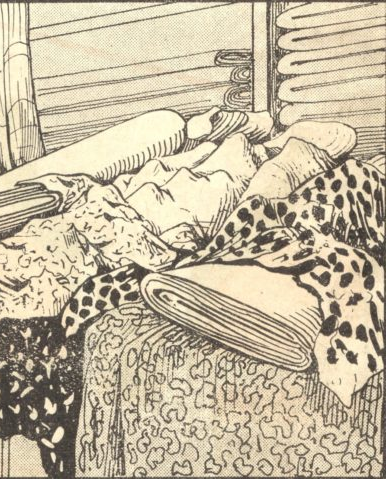 Can you see the fabrics seller at the market?