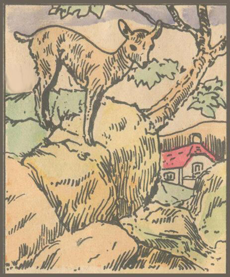 Can you see the wolf hiding in this picture?