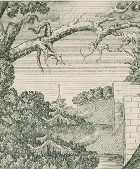 There is a man hidden in the picture, can you see him?