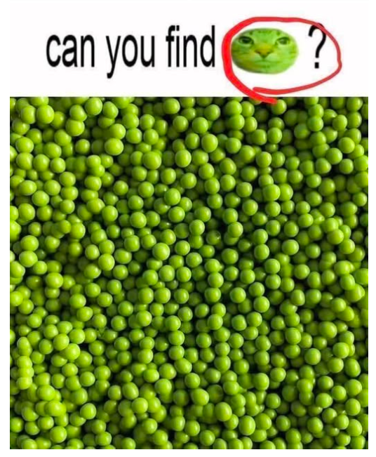 Can You Find the Hidden Cat in Less Than 10 Seconds?