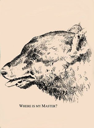 Where is the bear’s owner?