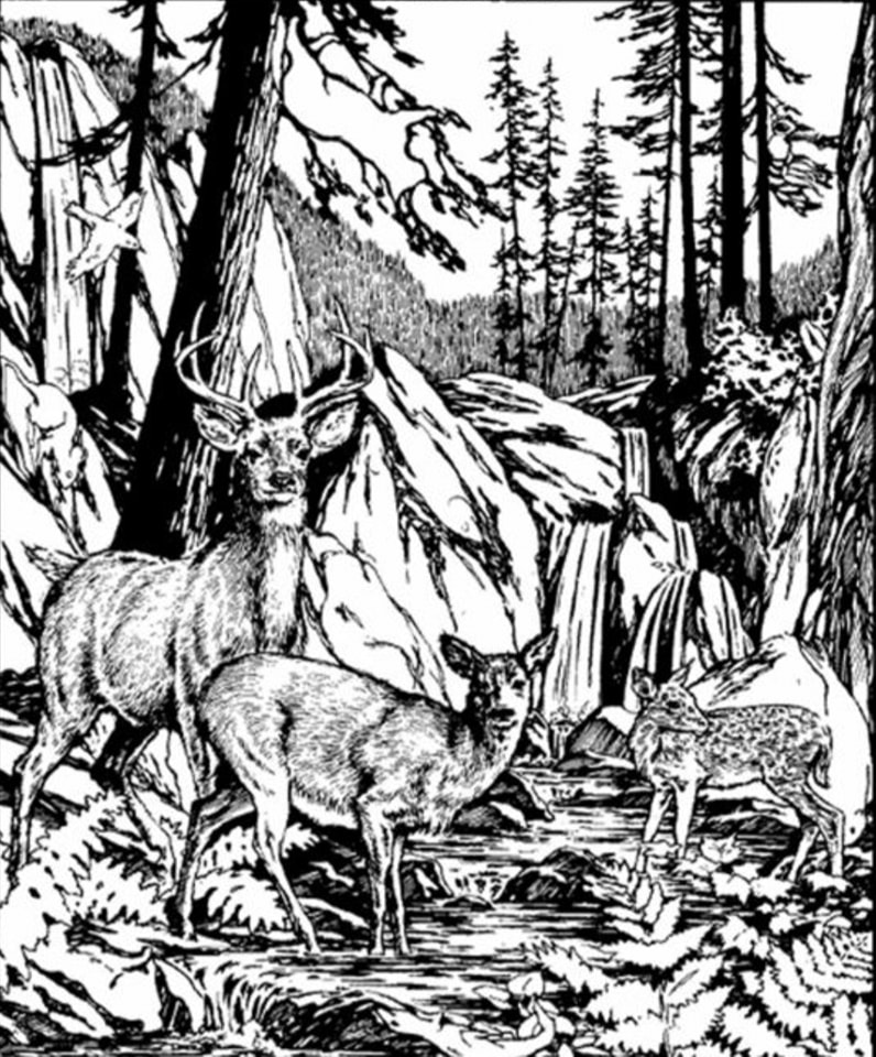 Find Dog, Pie, Fish, Dog Head. Can You Spot Them All?