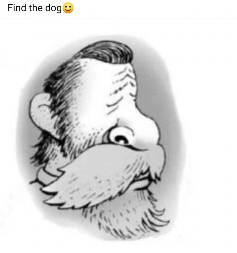 Can You See What the Heart Sees?” – Find the Hidden Dog…