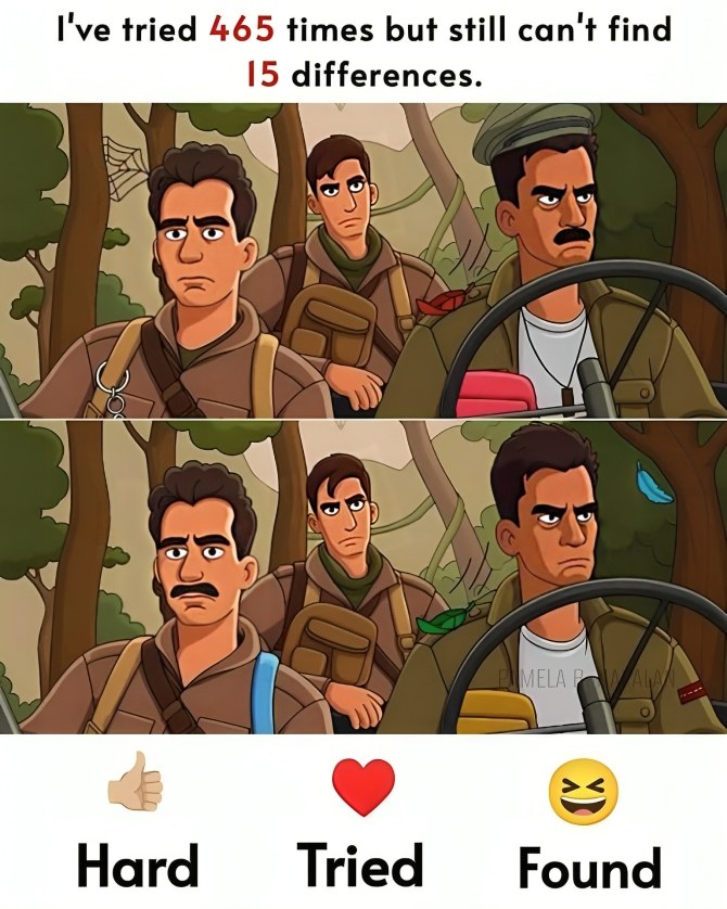 Test Your Brainpower: Only Geniuses Can Spot All 15 Differences!