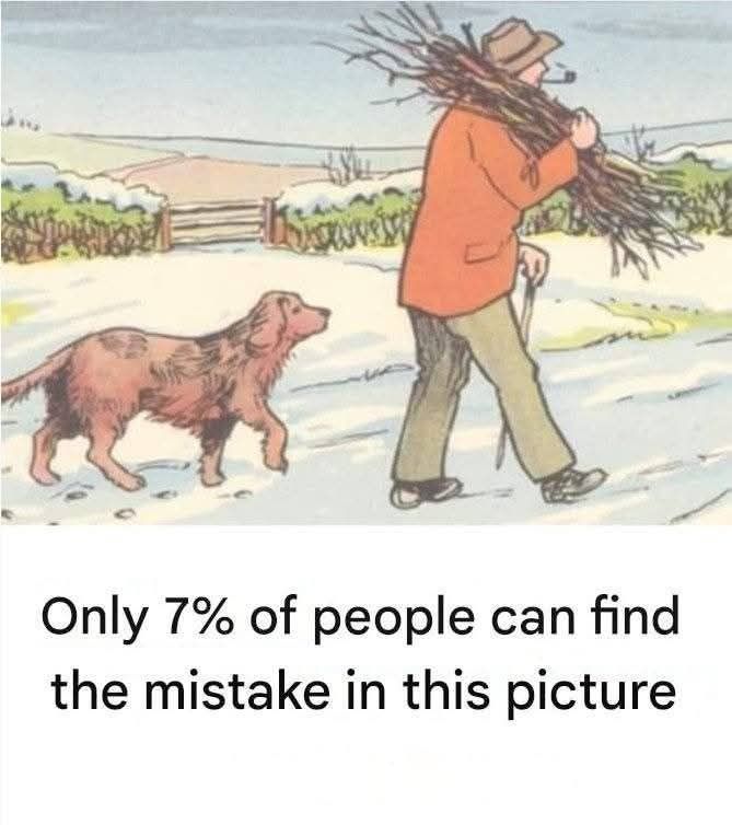 Spot the Mistake Challenge: Only the Sharpest Minds Will See It in 6 Seconds!