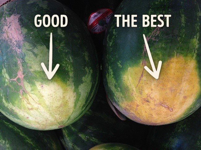 7 ways to choose a good watermelon – Sellers don’t want you to know!
