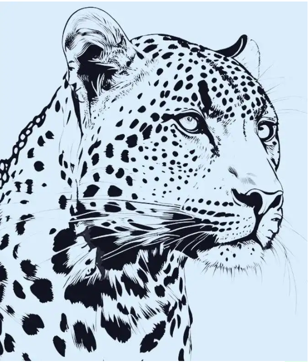 How many faces can you find in this image?