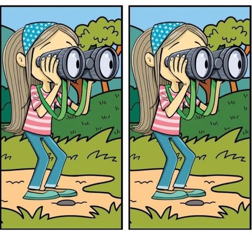 Can you find the difference in less than 20 seconds?