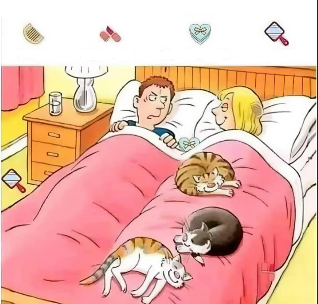 Find the four hidden items. Can you find them all?