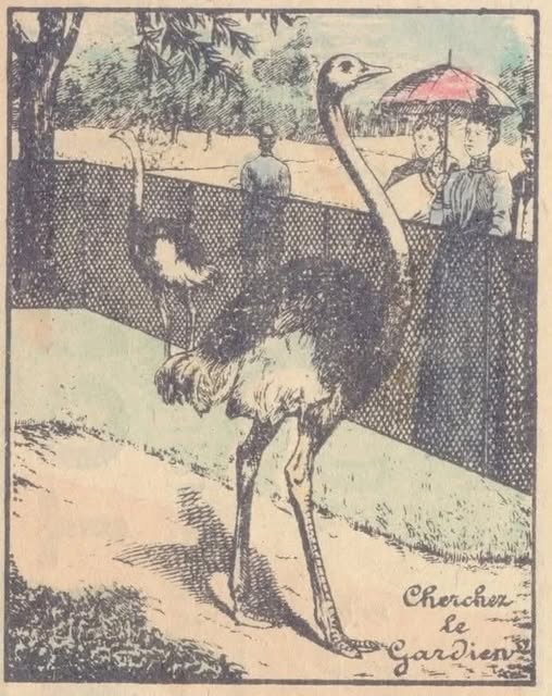 Where is the hidden man in this picture? Can you find him?