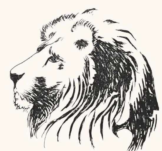 Only a genius can find all the faces hidden in this picture. Can you?