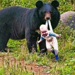 Bear Refuses To Let Baby Go – Ranger Bursts Into Tears Upon Finding Why