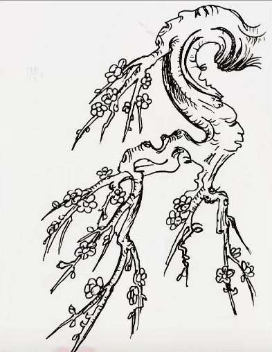 Find all the hidden faces in the picture. Can you find all them?