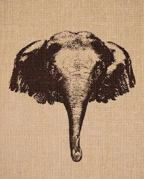 Test your eyesight: Where is the duck hiding?