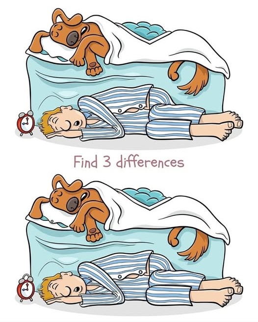 Can you spot all the differences? Only the sharpest minds can