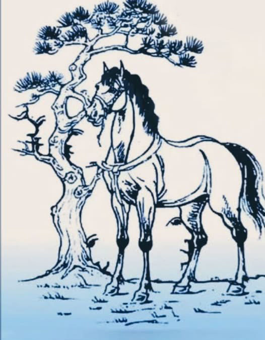 Eye test find the face in the image below