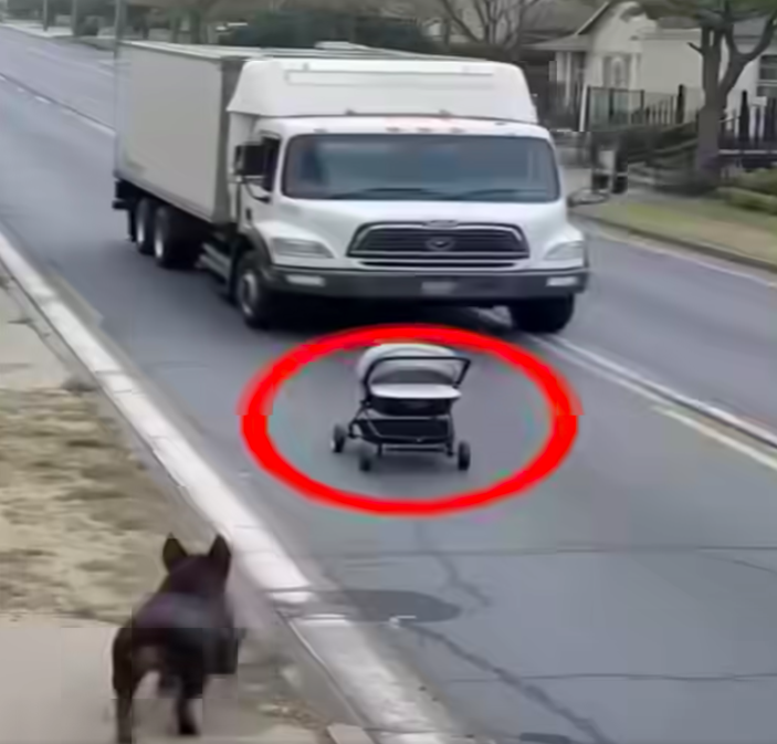 Heroic Pup Risks Life to Rescue Baby From Truck Accident!…