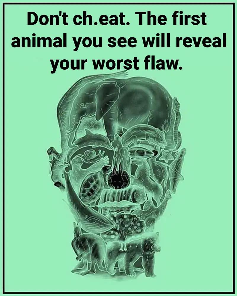 What’s Your Worst Flaw? The Viral Visual Test Everyone’s Talking About!