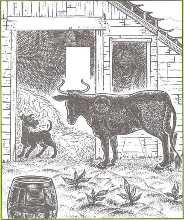 Can you find these 7 charming little companions nestled within the picture, waiting to be discovered by your keen gaze?