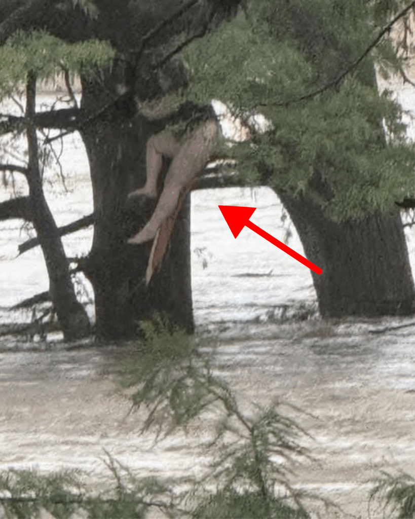 Missing Camp Girl Found 12 Miles Downriver in Texas Amid Historic Flooding