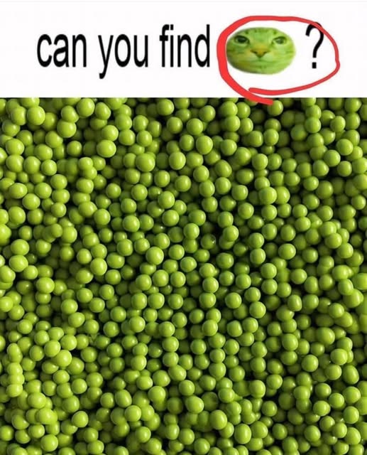 Can you find the pea-cat?