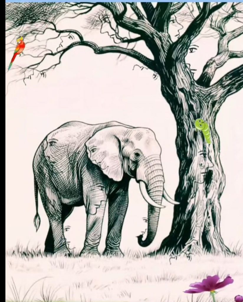 Only 2% of People Can Find All the faces in 17 seconds