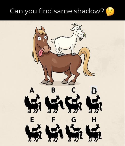 Can you find the same shadow?