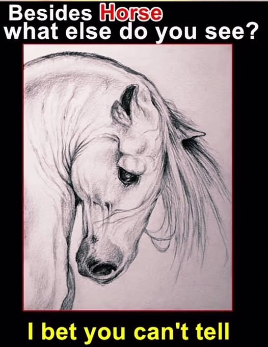 What Else Do You See Besides the Horse? This Optical Illusion Might Just Break Your Brain