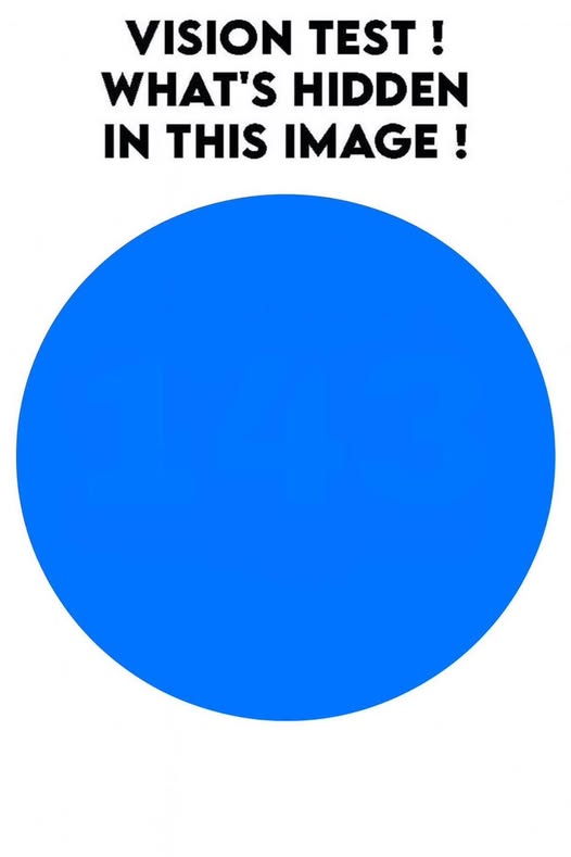 Vision Test Challenge: What’s Hidden in This Image?