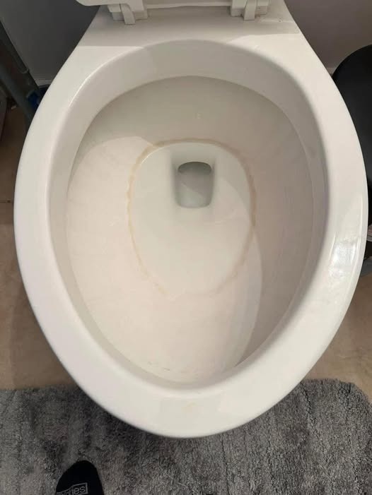 Easy Way to Remove Hard Water Stains from Your Toilet Bowl