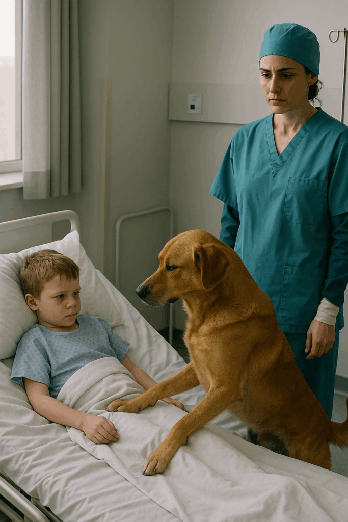 Faithful Dog Stops Medics from Taking Boy to Surgery — What He Was Really Doing Left Everyone Speechless