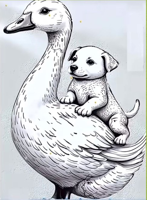 Only people with vision above 2.0 can find the three faces in the picture.